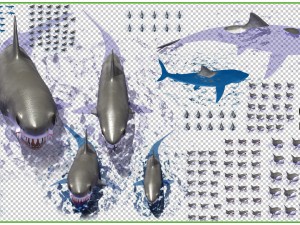 shark 3D मॉडल