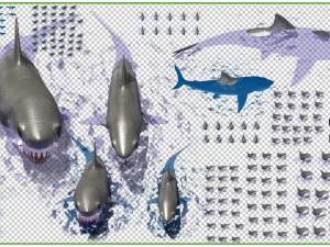 акула 3D Модель