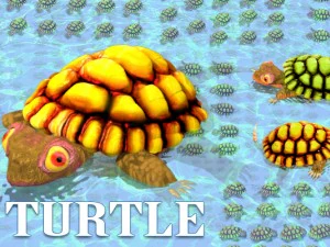 Schildkr&ouml;te 3D Modell