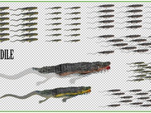 2d animated animals 3D Model