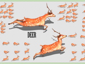2d animated animals 3D Model