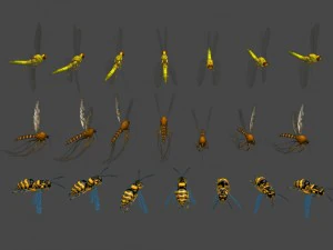 2d animated insects 3D Model