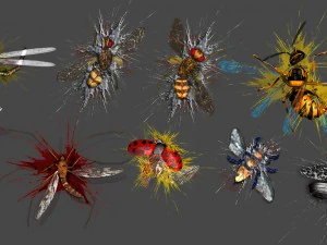 2d animated insects 3D Model
