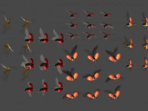 2d animated insects 3D Model