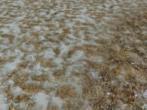 autumn and winter texture pack CG 纹理