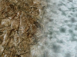 autumn and winter texture pack CG 纹理