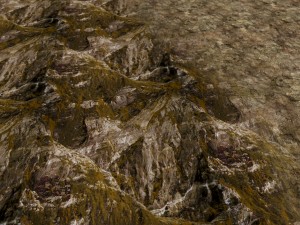 autumn and winter texture pack CG 纹理