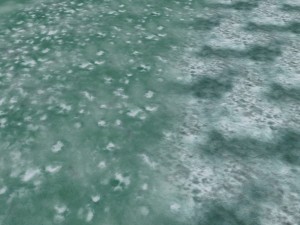 autumn and winter texture pack CG 纹理