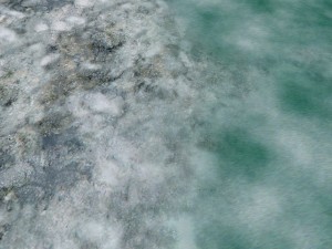 autumn and winter texture pack CG 纹理