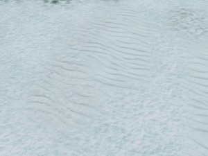 autumn and winter texture pack CG 纹理