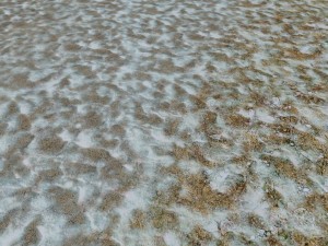 autumn and winter texture pack CG 纹理