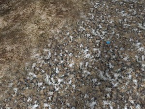 autumn and winter texture pack CG 纹理