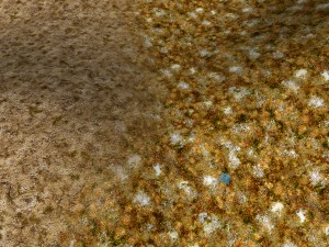 autumn and winter texture pack CG 纹理