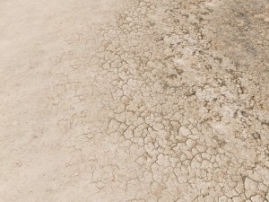 ground texture set Texturas CG