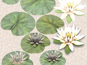 nature objects Model 3D
