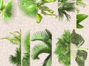 nature objects Model 3D