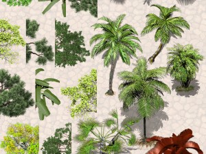 nature objects Model 3D
