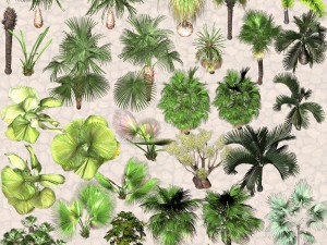 nature objects Model 3D