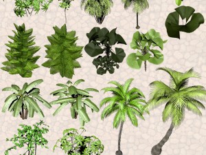 nature objects Model 3D