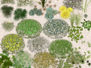 nature objects Model 3D