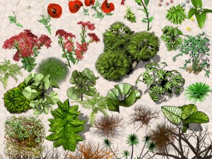 nature objects Model 3D