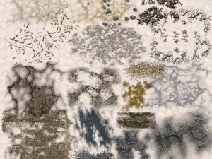nature objects Model 3D