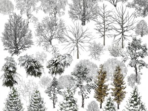 nature objects Model 3D