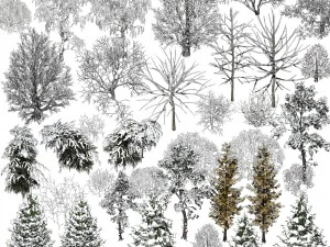 nature objects 3D Model