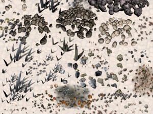 nature objects Model 3D