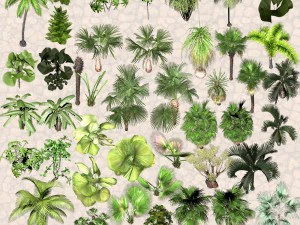 nature objects 3D Model