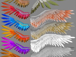 girl run ski swim and fly 3D 模型