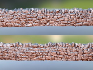 stone wall 3D Model