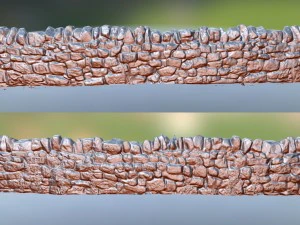 mur de pierre Modèle 3D