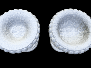 park stone vases 3D 模型