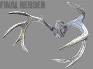 deer horns 3D Model