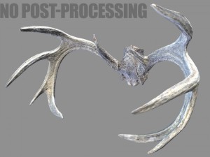 deer horns 3D 模型