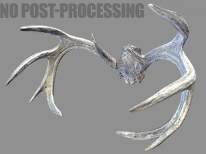 deer horns 3D Model