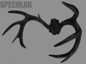 deer horns 3D Model