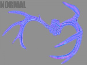 deer horns 3D 模型