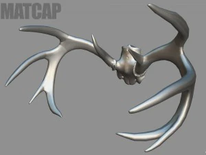 deer horns 3D Model