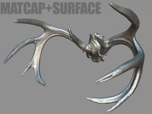 deer horns 3D 模型