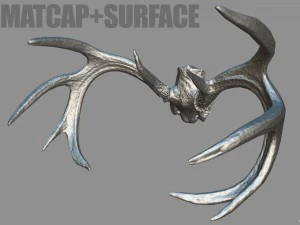 deer horns 3D Model