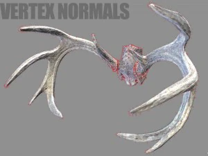 deer horns 3D Model