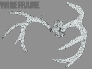 deer horns 3D 模型