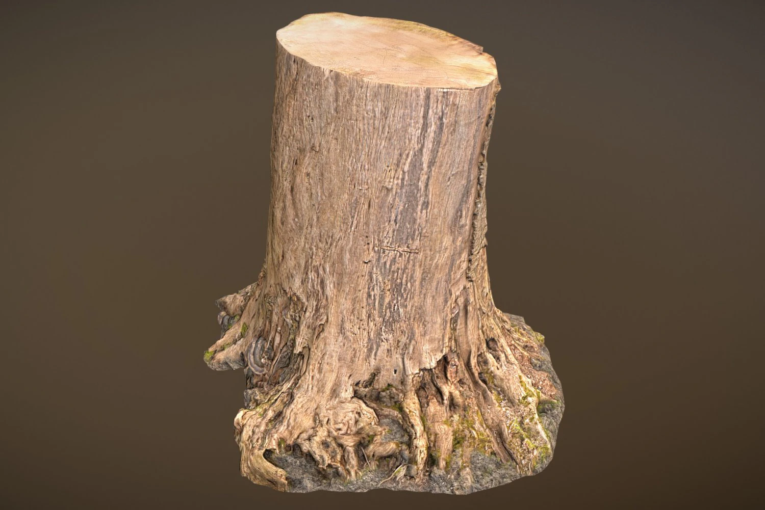 tree stump 3D Model .c4d .max .obj .3ds .fbx .stl .blend 
