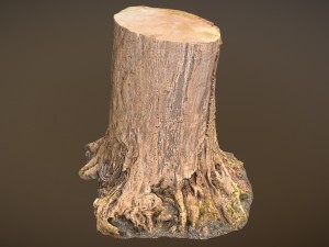 tree stump Modelo 3D