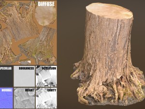 tree stump 3Dモデル