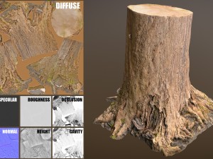 tree stump 3Dモデル