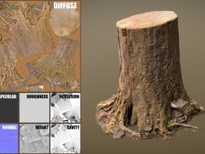 tree stump 3Dモデル