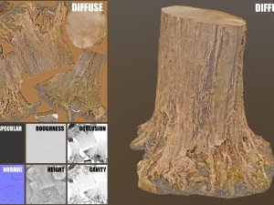 tree stump 3Dモデル